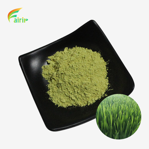 Raw Wheat Grass Juice Powder